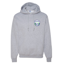Load image into Gallery viewer, BSA Pullover Fleece Hoodie