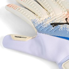 Load image into Gallery viewer, Puma Future Match Goalkeeper Gloves