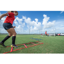 Load image into Gallery viewer, Kwikgoal Mini Ladder