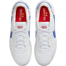 Load image into Gallery viewer, Nike Streetgato Indoor Shoes