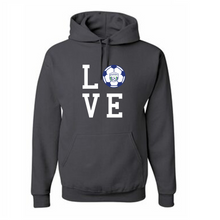 Load image into Gallery viewer, BSA LOVE Hoodie
