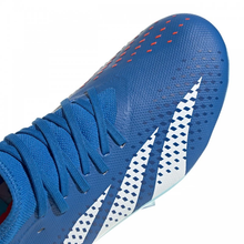 Load image into Gallery viewer, adidas Predator Accuracy.3 FG Cleats
