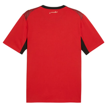 Load image into Gallery viewer, Puma Egypt Home Jersey World Cup 2026
