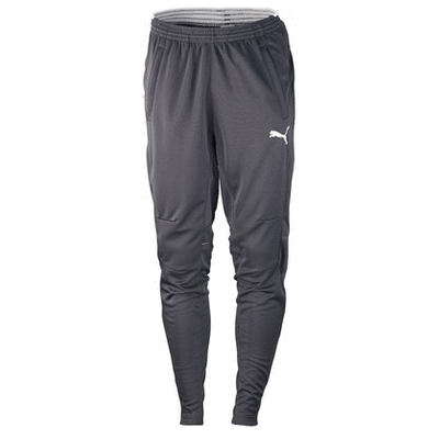 Puma Training Pant - Grey/White