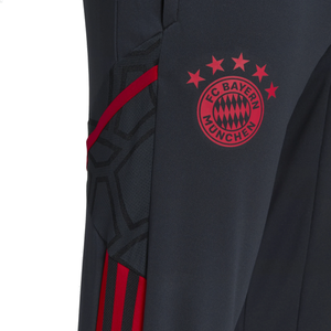 adidas Bayern Munich Training Pants 2022/23