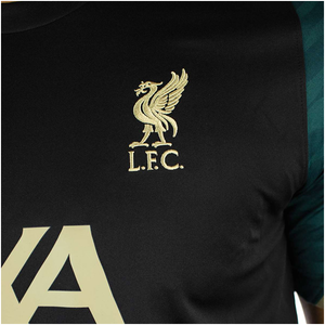Nike Liverpool Strike Pre-Match Top 2022