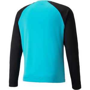 Puma Teampacer Goalkeeper Jersey