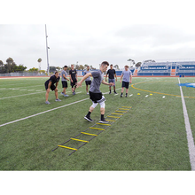 Load image into Gallery viewer, Sklz Quick Ladder

