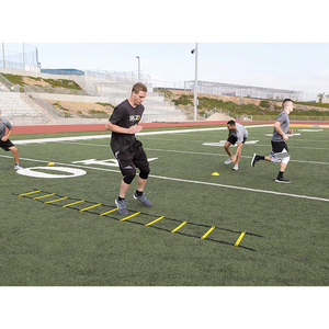 Sklz Quick Ladder